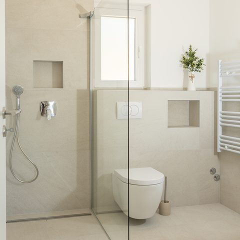 Walk-in shower with window