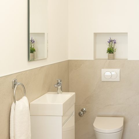 Guest toilet